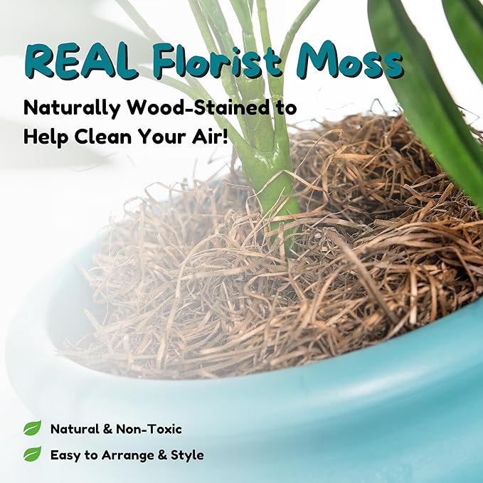 Good Pet Stuff Hidden Litter Box Planter, Decorative Cat Litter Enclosure - Image 10