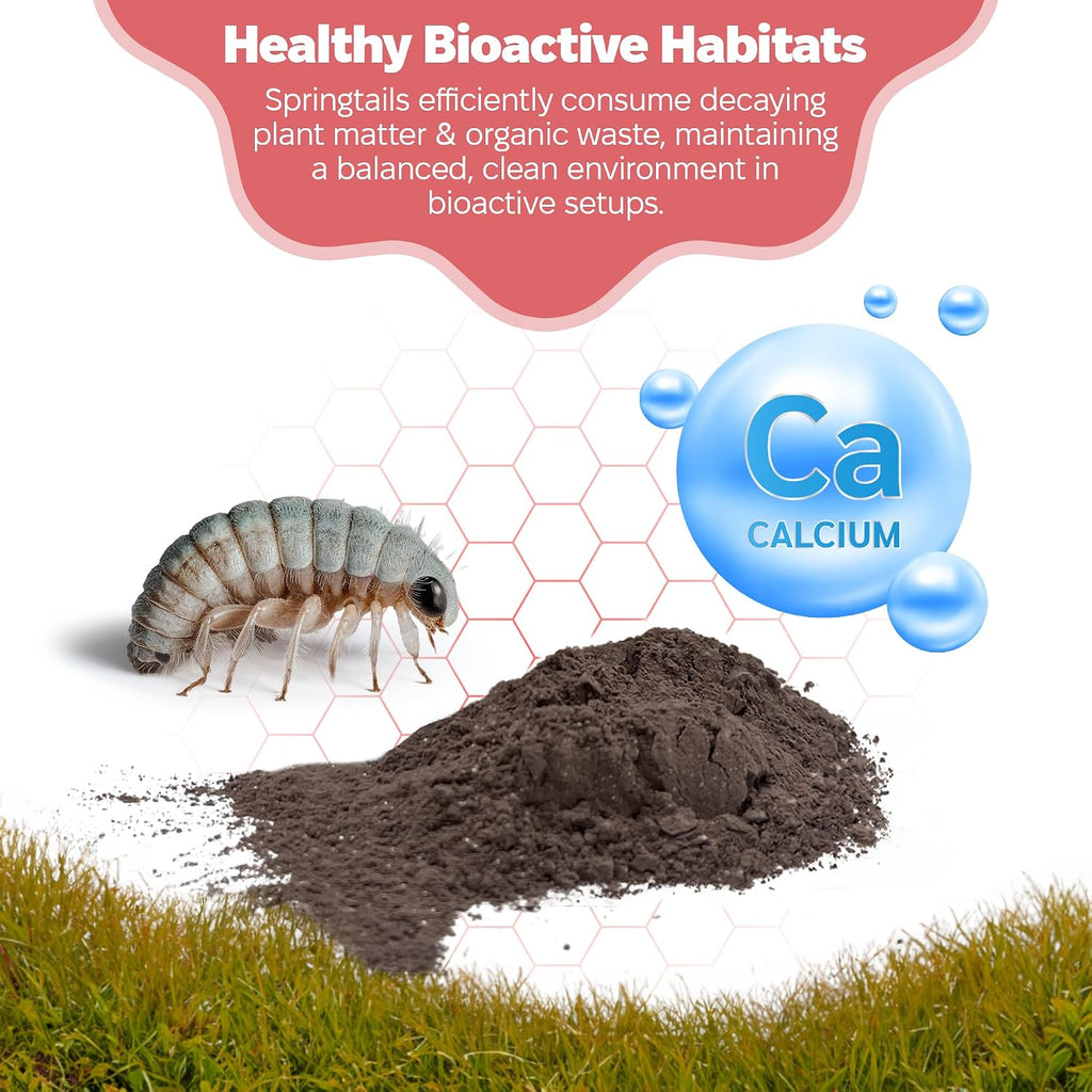 Springtail Calcium Bearing Clay - 2 lb | Ideal for Culturing Springtails, Reptile and Amphibian Terrariums, and Natural Habitat Cleanup Crew