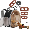 Bearded Dragon Travel Backpack by WEVONIGU