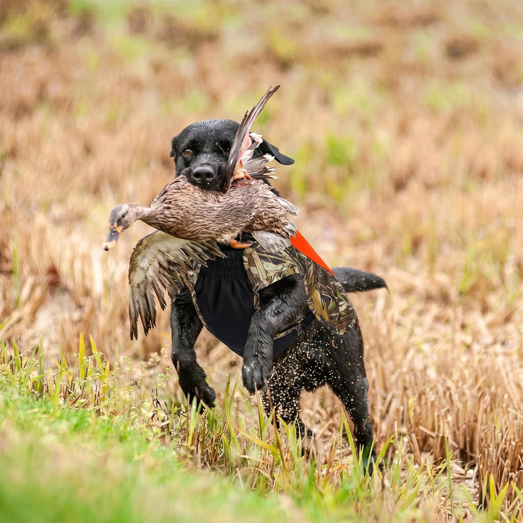 BASSDASH Dog Insulated Coat Safety Vest Water Resistant Chest Protection Reflective High Visibility for Hunting Outdoor