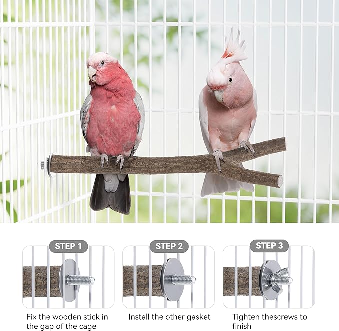 Niteangel Natural Wooden Perches - Image 5