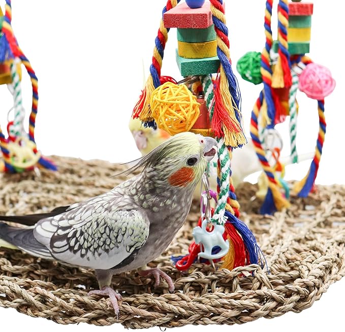 Large Bird Swing Toys, Colorful Parrot Seagrass Mat Hammock - Image 4
