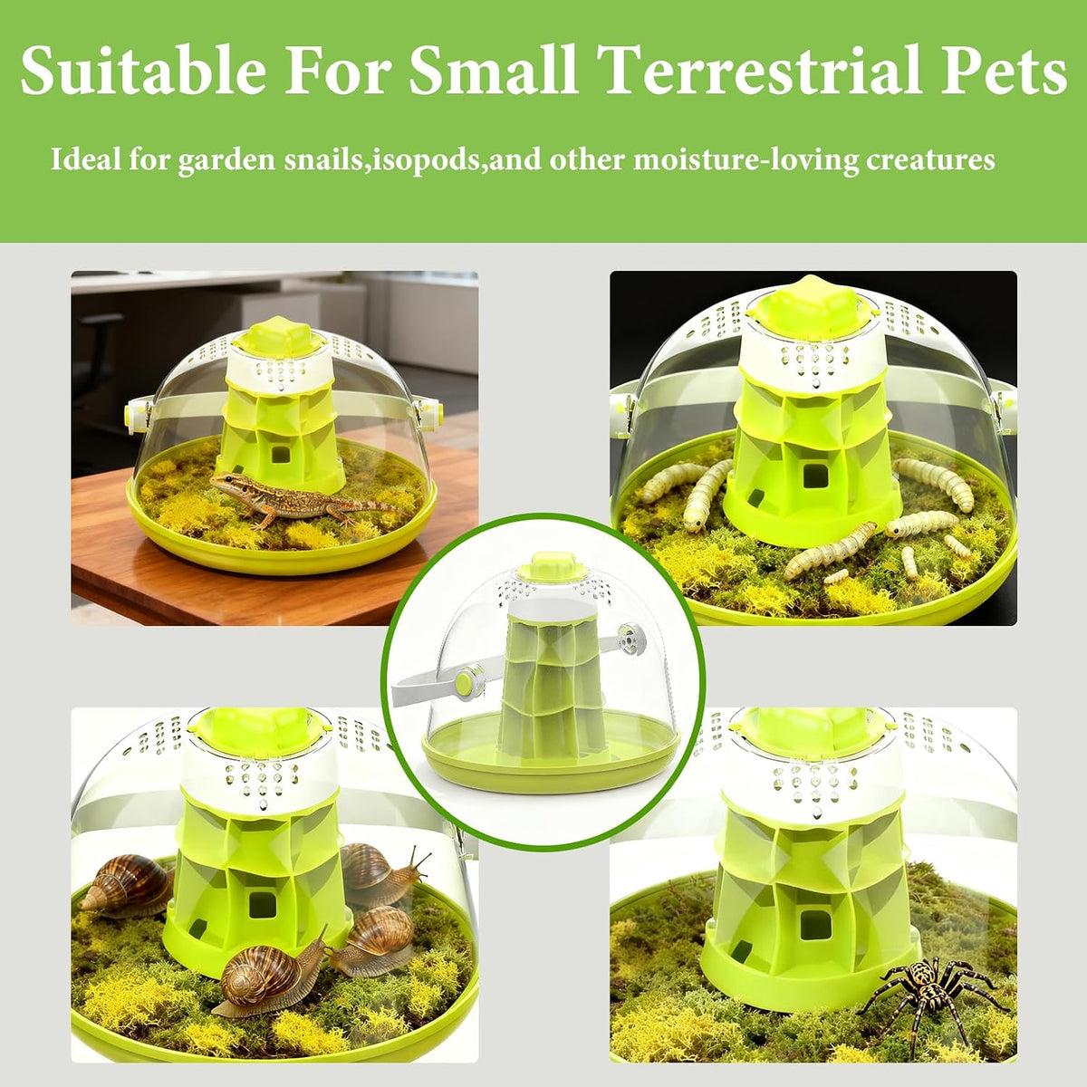 Snail Terrarium Kit Insect Enclosure Bug Terrarium Observation Container Praying Mantis Habitat Breeding Box Micro Habitat Starter Kit for Beetles Spider Small Reptile