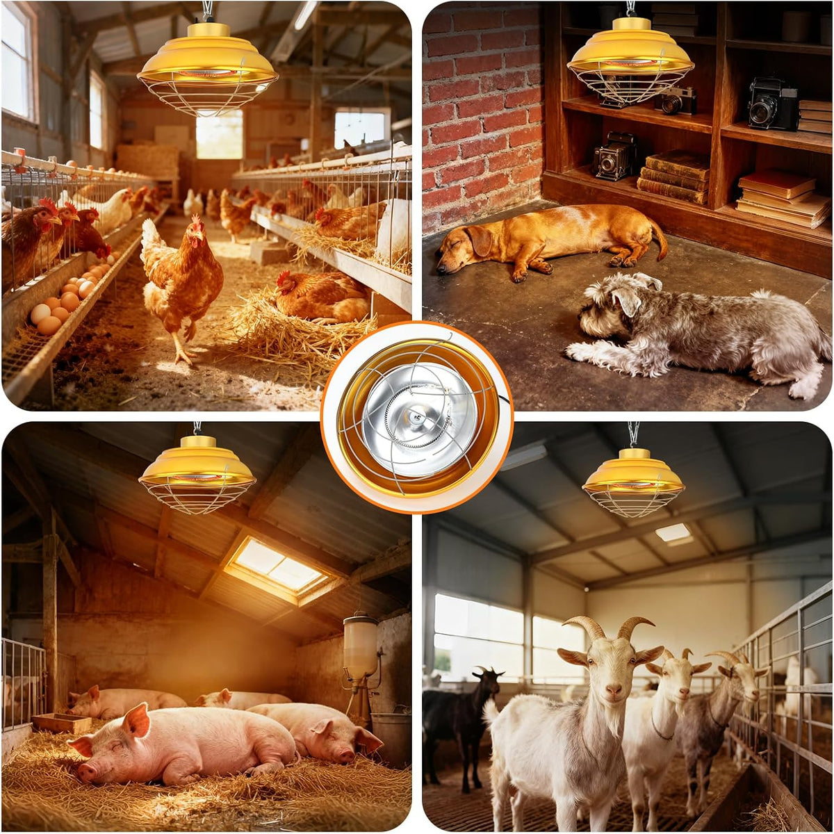 600W Chicken Coop Heat Lamp, 2-Stage Brooder Heater for Chicks