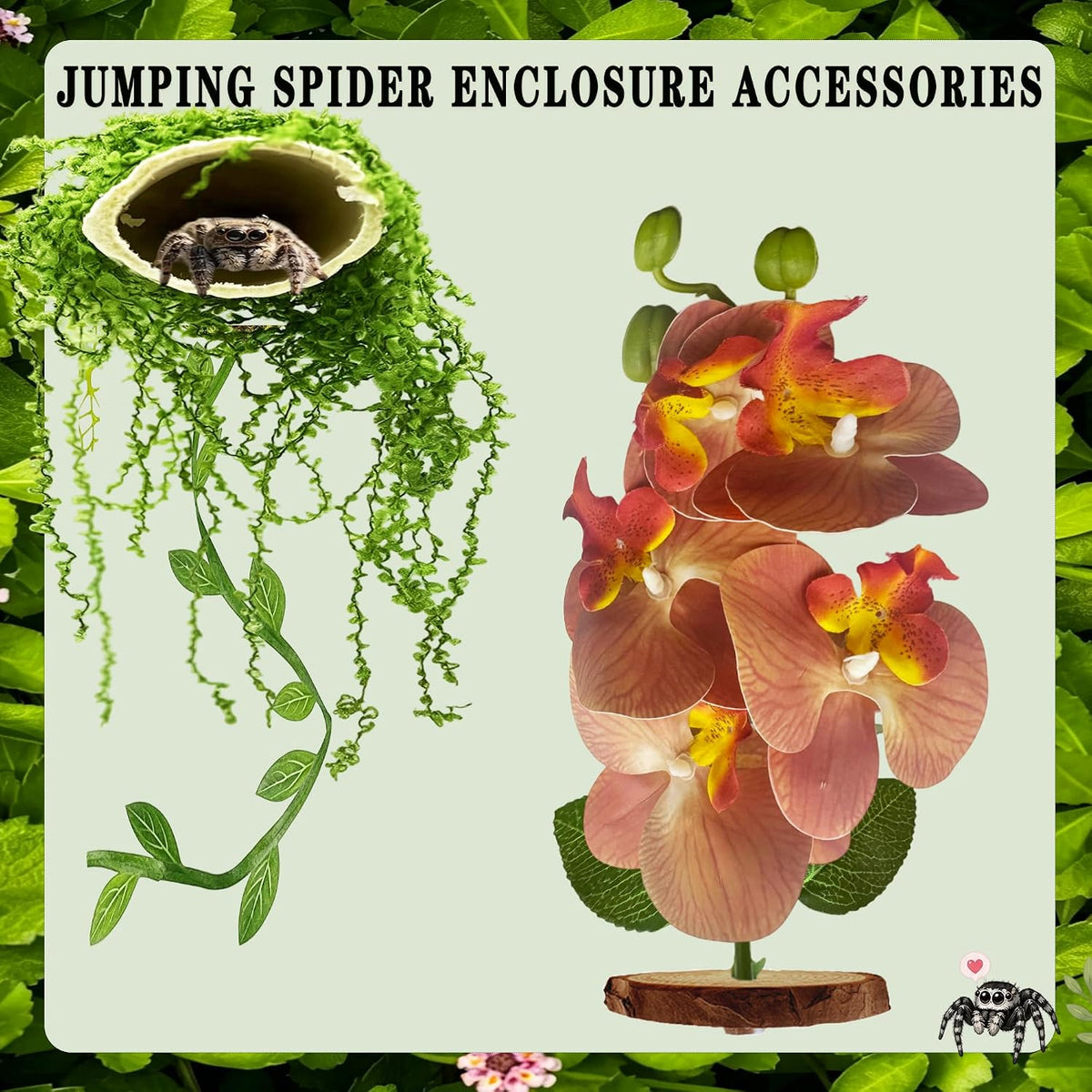 Jumping Spider Accessories Kit, Suitable for Enrichment Hideouts for Small Insects