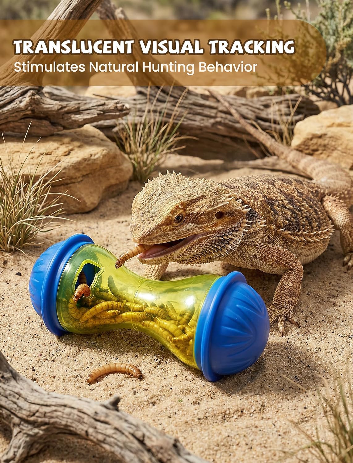 Bearded Dragon Enrichment Toys, Interactive Reptile Feeder Ball Set