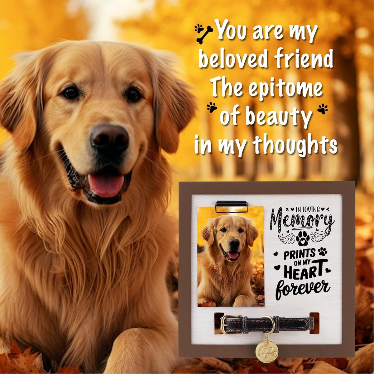 Dog Memorial Gifts for Loss of Dog, Pet Memorial Frame with Collar Holder