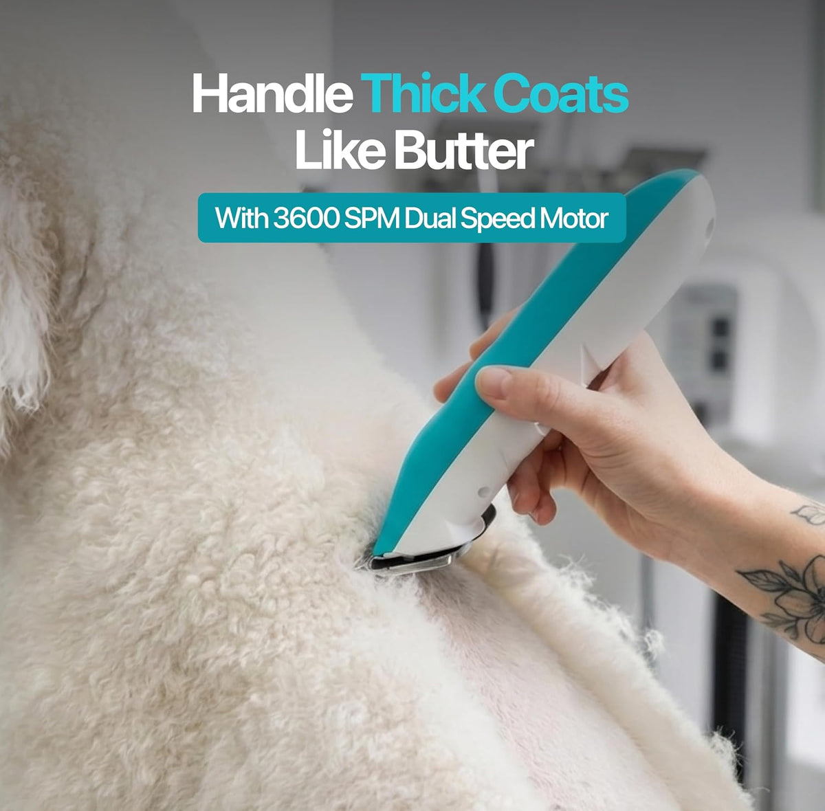 Falcon 2 Speed Cordless Dog Clippers - Professional Grooming, Teal