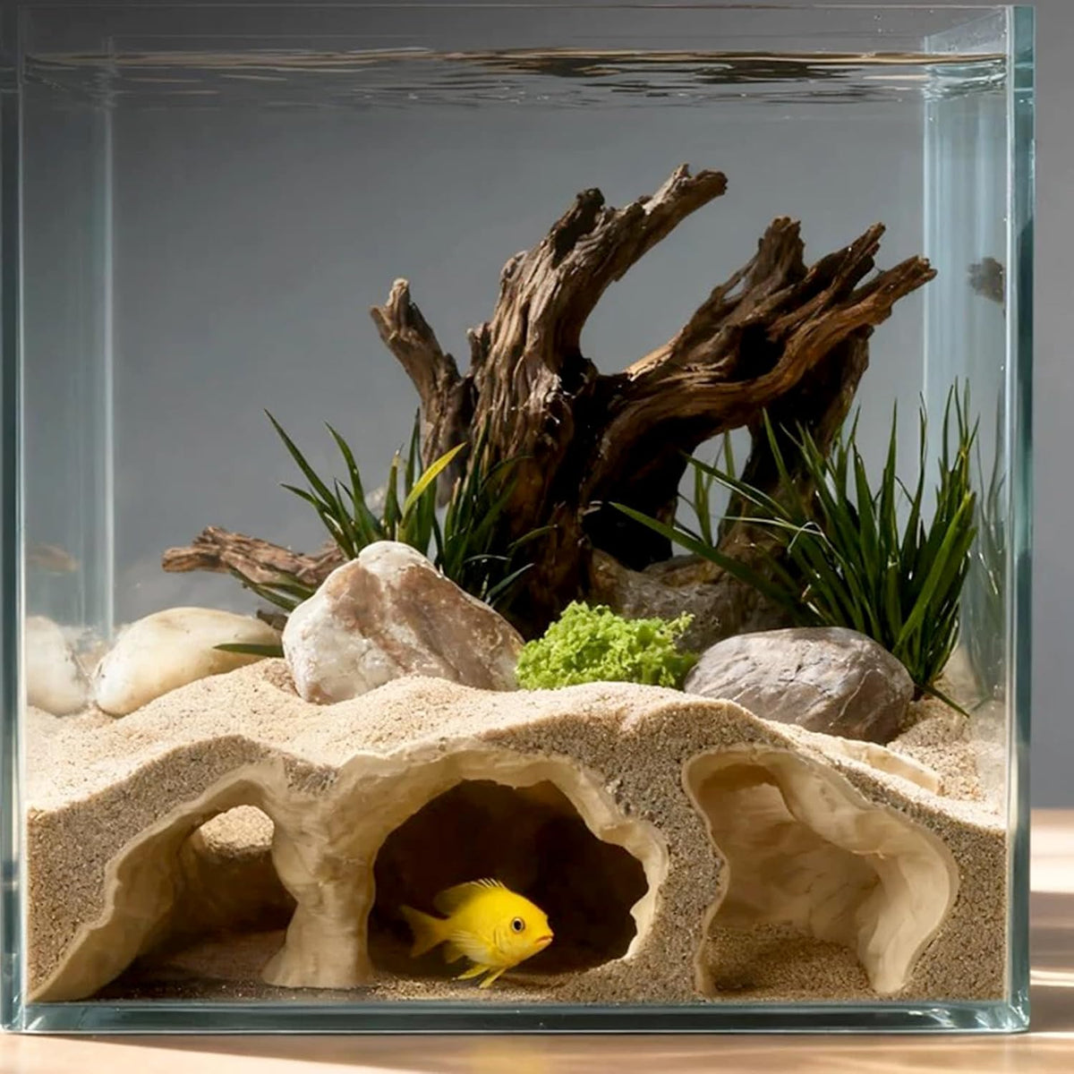 LIYAOLI Aquarium Ornaments Cave Tunnel with Viewing Ports | Fish Tank Decoration Hideout for Pleco, Shrimp & Corydoras | Substrate-Friendly Design & Sinking Base (S - White)