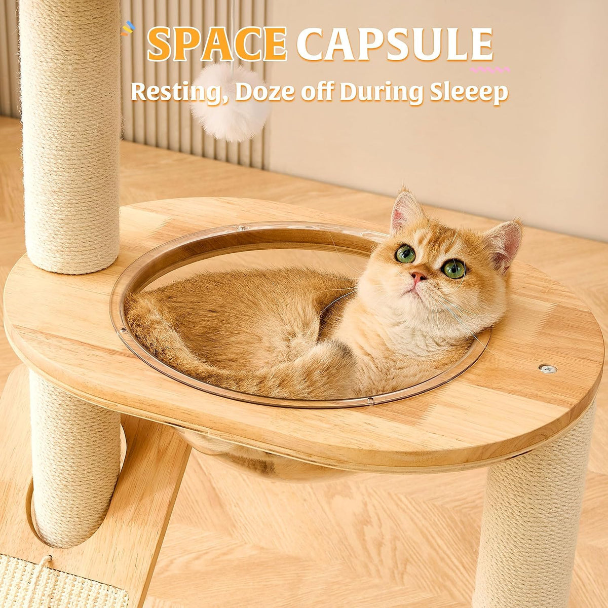 HITTITE Solid Wood Cat Tree Tower with Scratching Post, 37.8 Inches Tall Cat Towers with Scratching Board and Scratcher Ball, Modern Cat Tower With Space Capsule and Removable Top Bed for Indoor Cats.