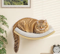 Cat Wall Shelf with Curved Hammock Bed, Wall Mounted Cat Perch with Beige Soft by PELUOMOZ