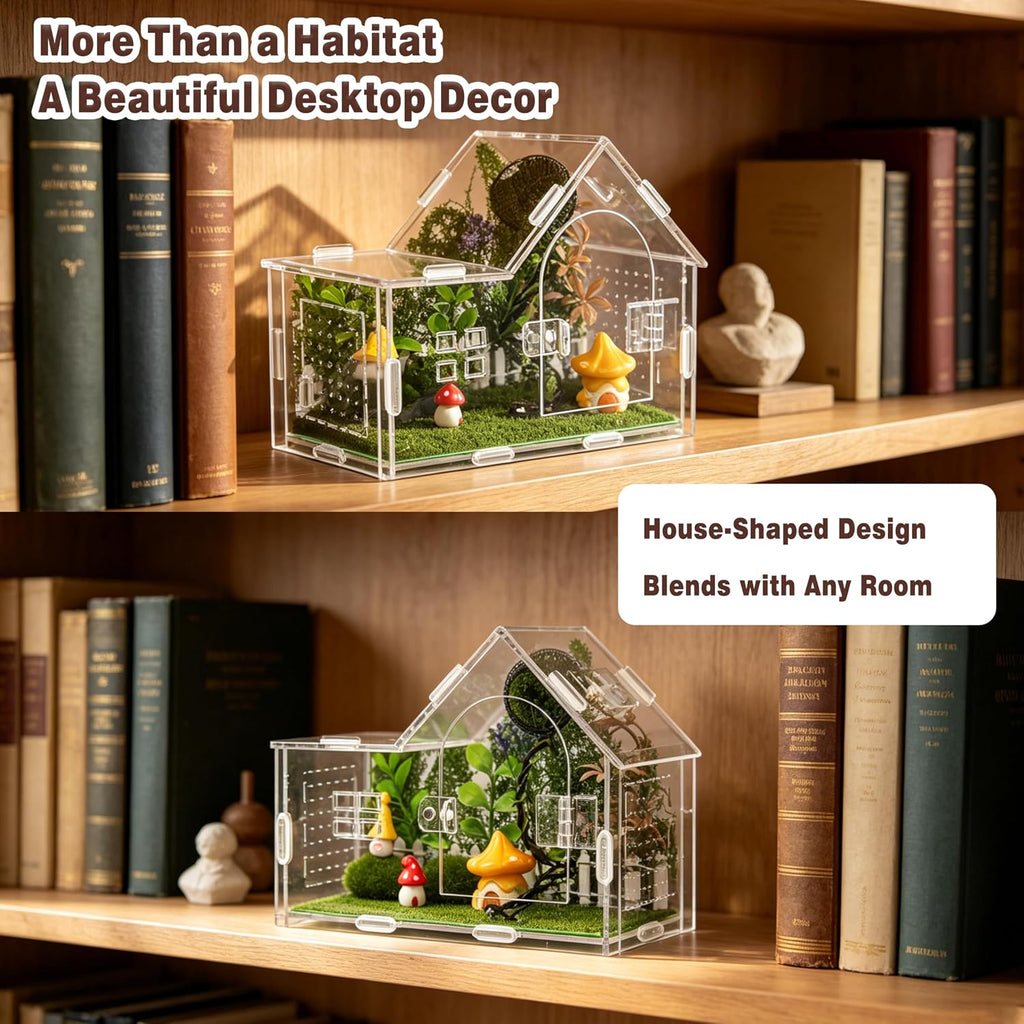 Acrylic Jumping Spider Enclosure Kit 19PCS with Decor