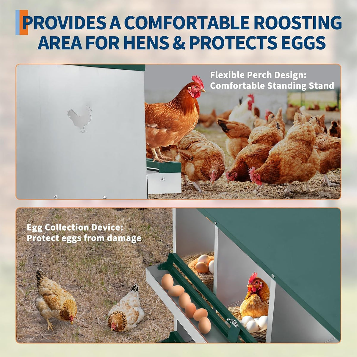 GarveeLife Chicken Nesting Boxes for Laying Eggs, 6 Compartments Nesting Boxes to Collect & Protect Eggs, Chicken Laying Boxes for Hens