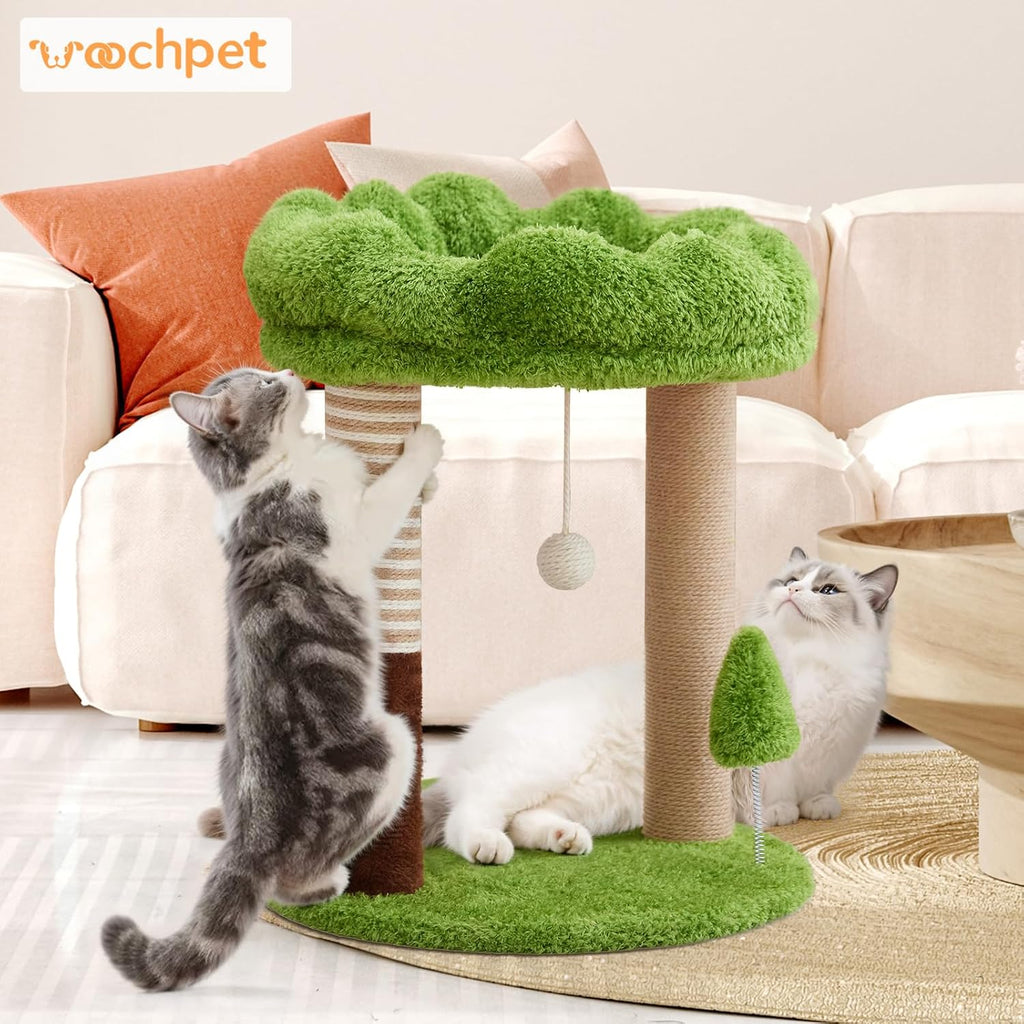 WOOCHPET 21" Small Cat Tree  with 2 Scratching Posts and Perch Bed