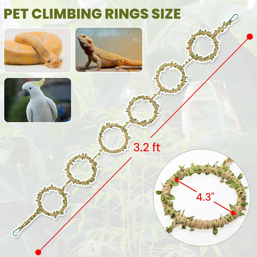 Snake Climbing Rings for Ball Python & Corn Snake, Reptile Toys