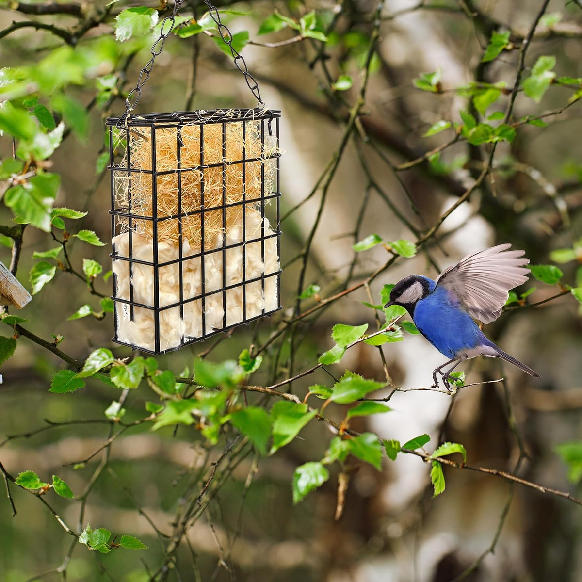Bird Nesting Material Set Rectangle Humming Bird Nesters with Natural Cotton Raffia Sturdy Hanging Bird House for Outdoor Wild Bird Resting Place The Ideal Gift for Bird Lovers Black