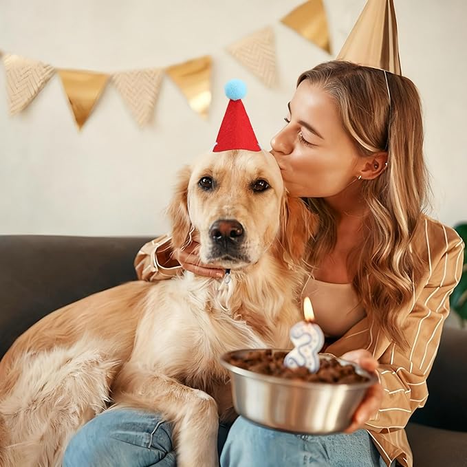 12 PCS Mini Party Hats for Stuffed Animals Birthday Felt Cone Hat - Image 6