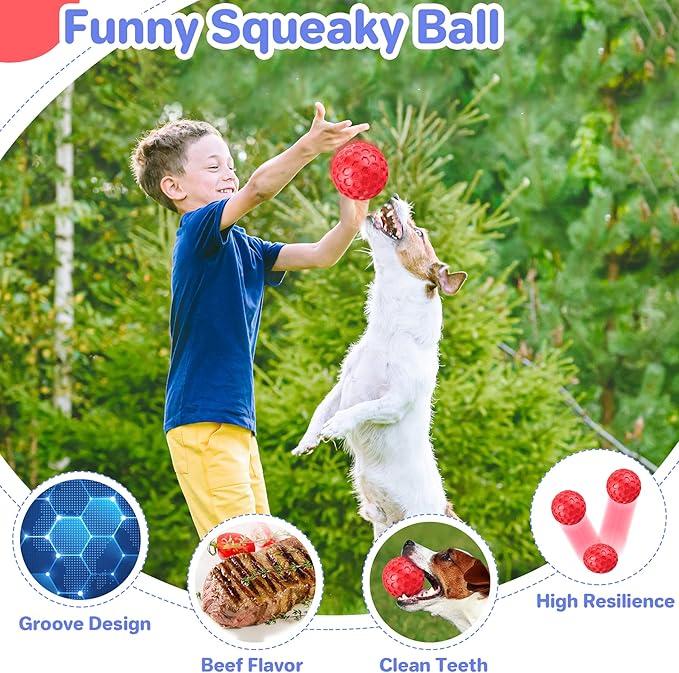 Indestructible Squeaky Dog Balls - Image 4