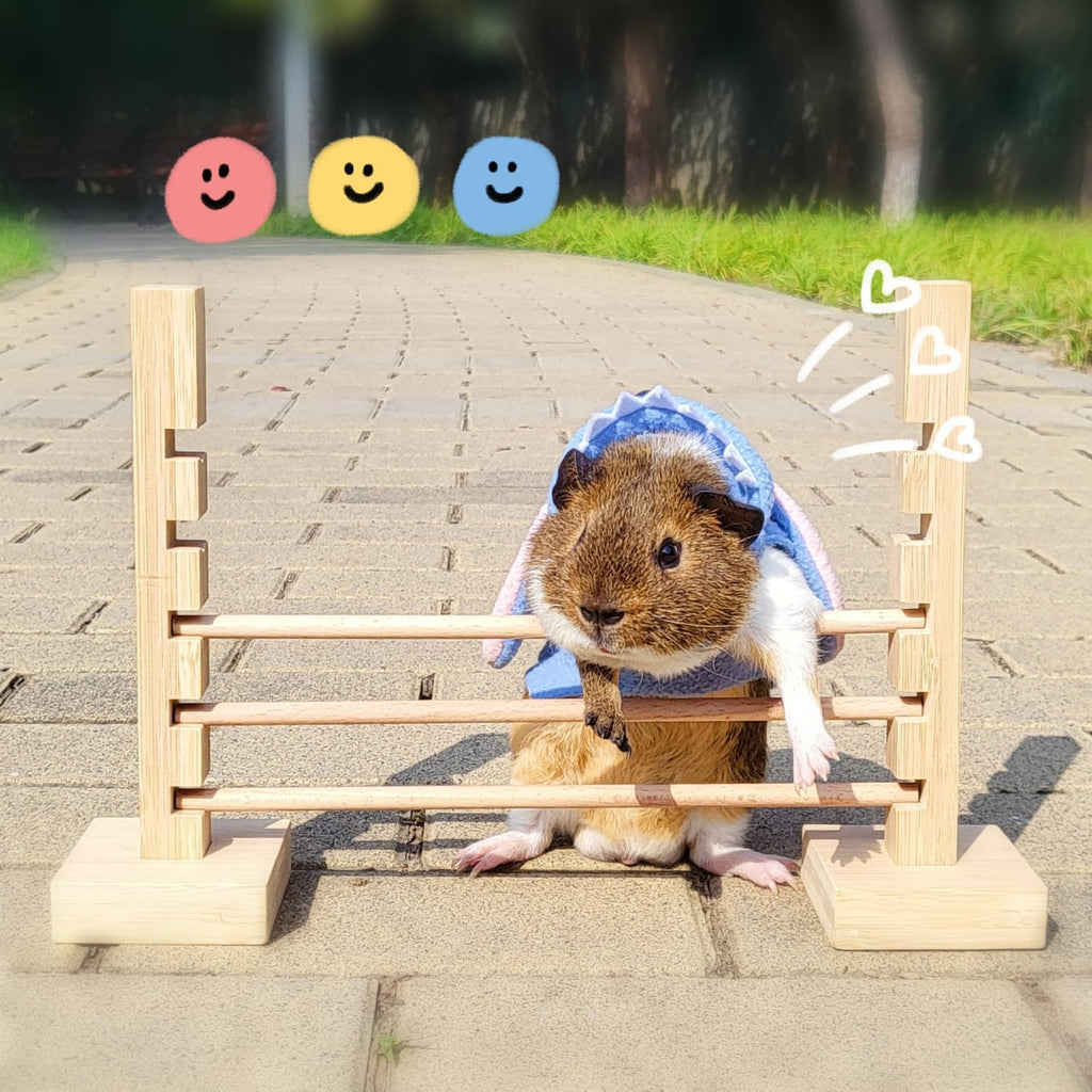 Guinea Pig Jump Bar Natural Wood Obstacle Game Activity Toys Set Adjustable Height Training Hurdles Exercise Small Animal Toys for Bunny Dwarf Rabbit Chinchilla (Wood)