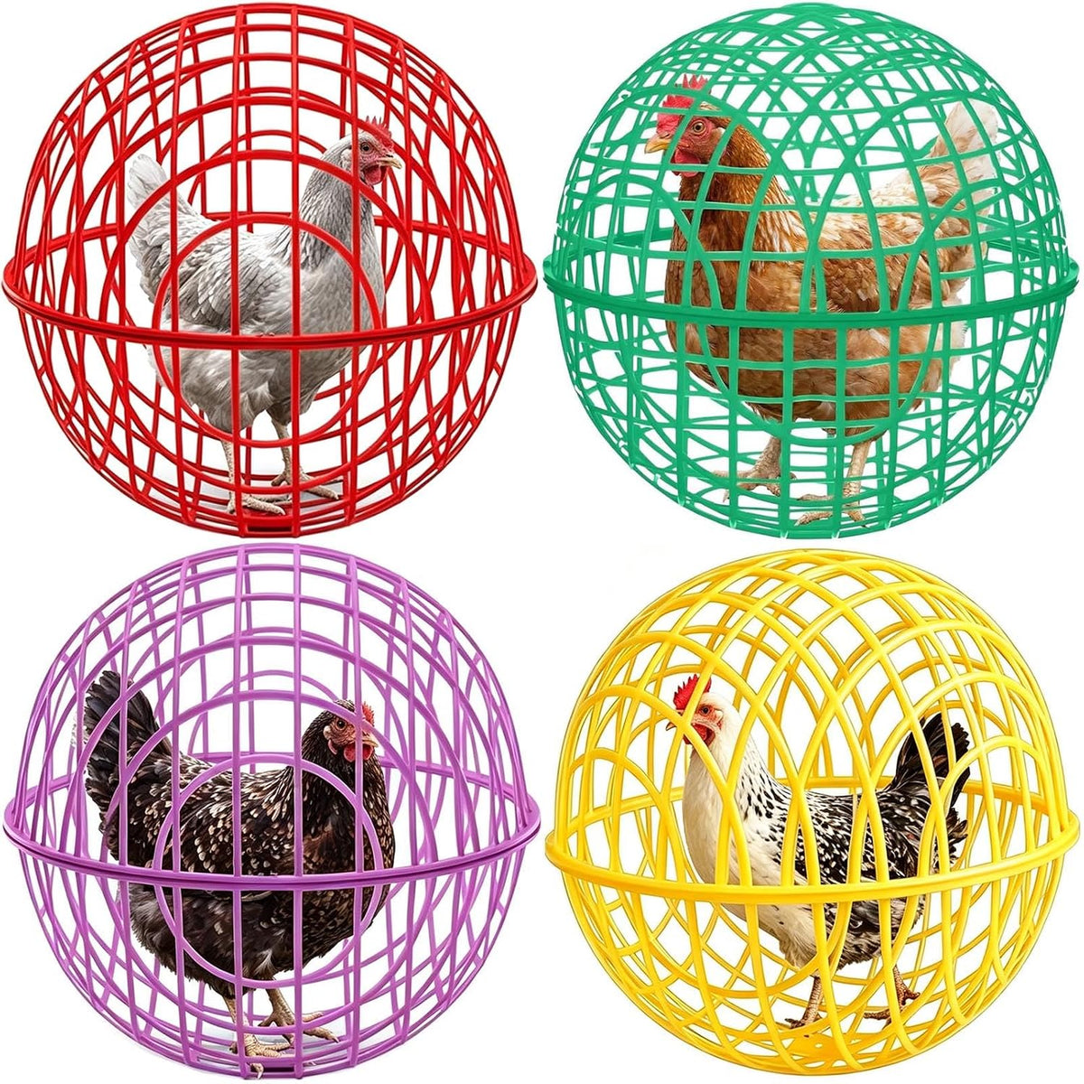 Chicken Ball Cage 4 Pack