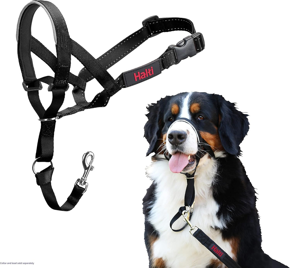 Halti Headcollar | Size 4, Red | Training Collar for Large Dogs