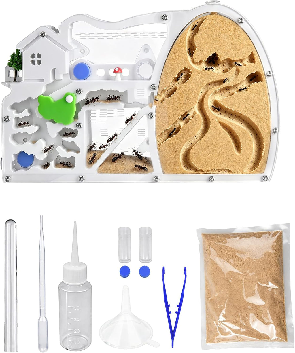 Dinosaur Egg Shaped Ant Habitat, Clear Acrylic Dual-Chamber Formicarium, Escape-Proof Design, Large Foraging Area, for Ant Enthusiasts & Hobbyists