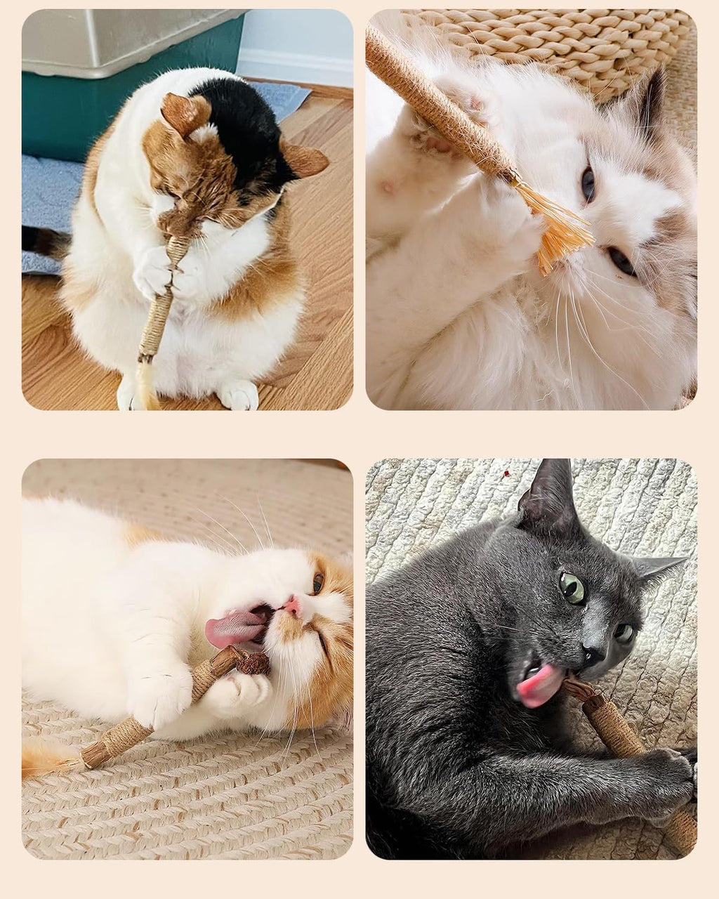 Tocirelo Silvervine Stick for Indoor Cats, Kitten Chew Toys