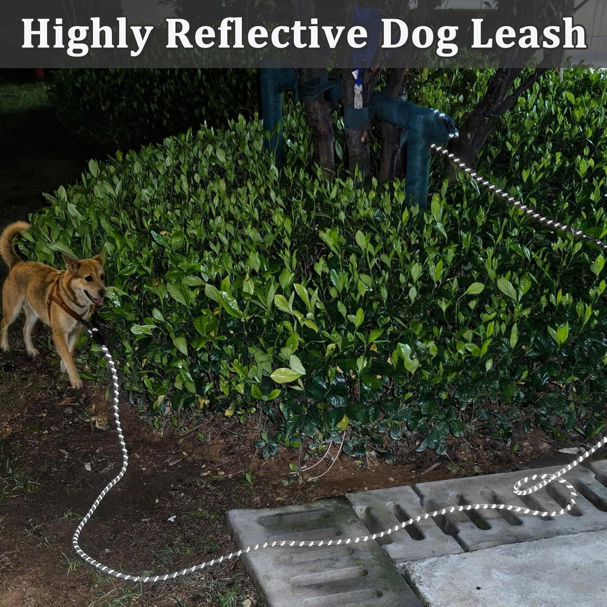 30FT Reflective Tie-Out Rope for Medium Large Dogs Long Dog Tether