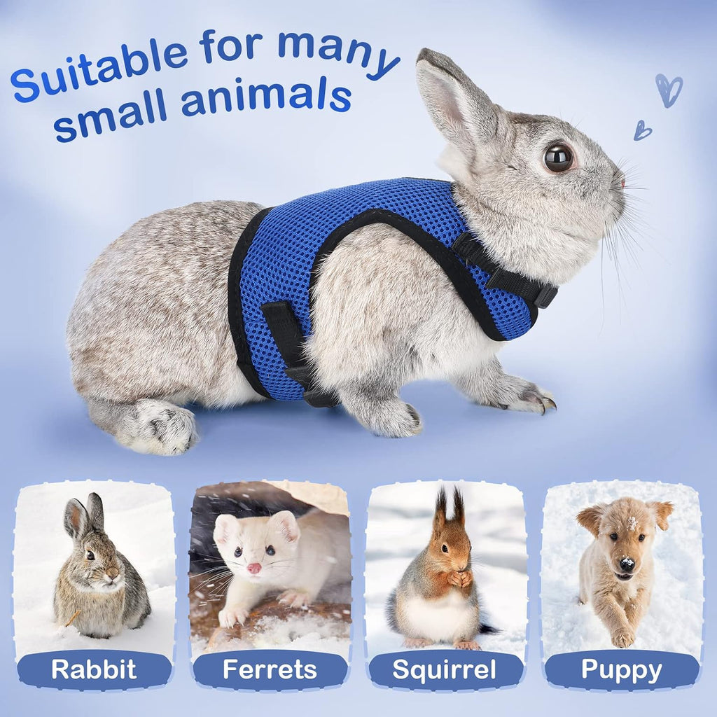 PETTOM Bunny Rabbit Harness with Stretchy Leash Cute Adjustable Buckle Breathable Mesh Vest for Kitten Small Pets Walking (Blue,XS)
