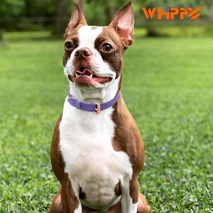 WHIPPY Leather Dog Collar for Small Medium Large Dog Adjustable Soft Breathable - Image 5