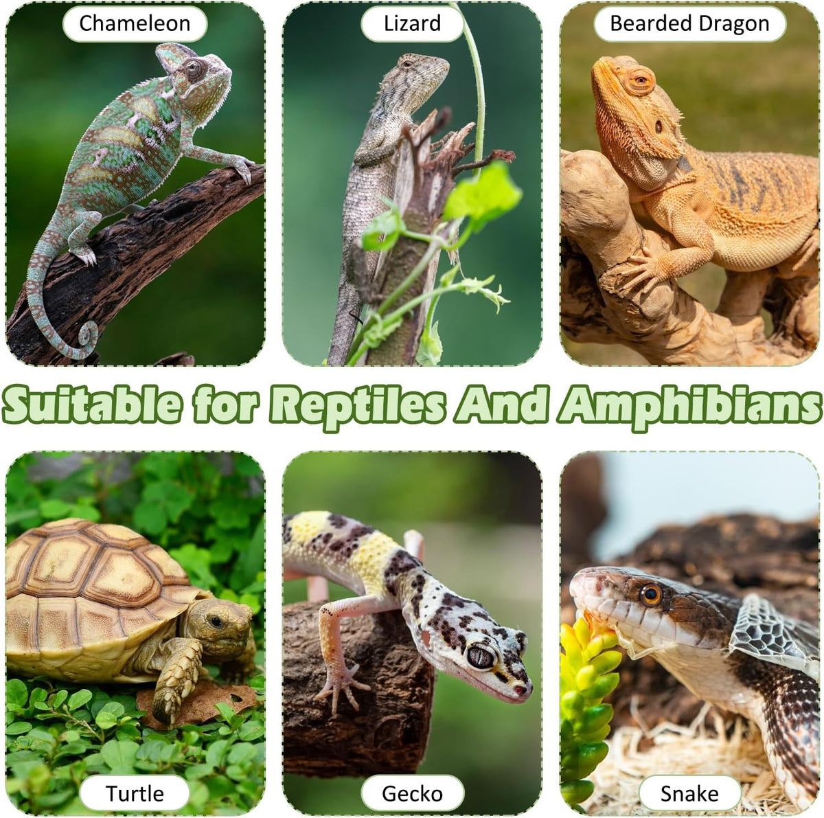 kathson Bearded Dragon Tank Accessories Kit, Reptile Hide Wooden Bridge Terrarium Liner Triangle Hammock Jungle Climber Vines Leaves and Plant Reptile Habitat Decor for Chameleon Lizards Gecko Snakes