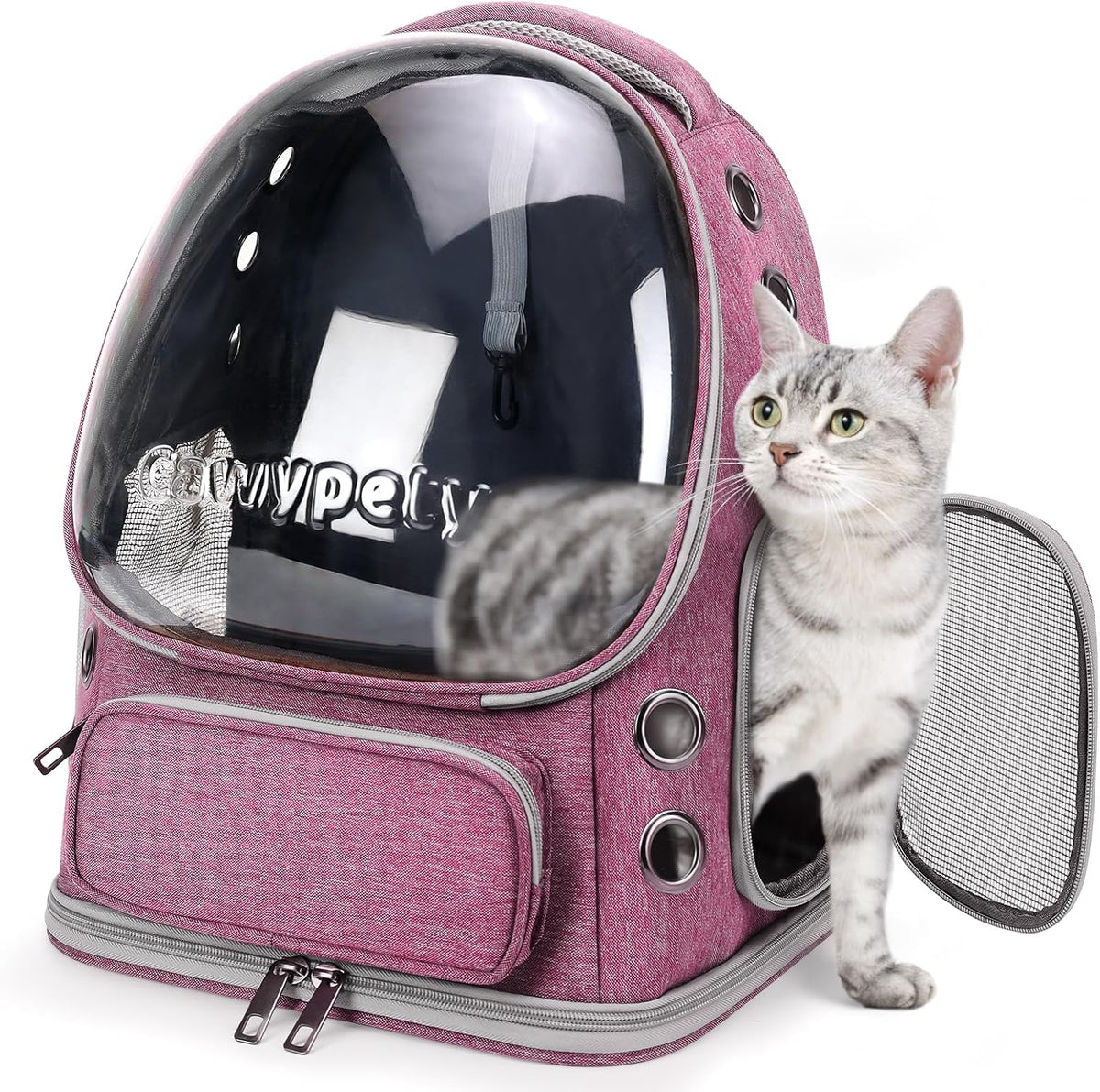 Cat Backpack Carrier Large Space Bubble Backpack up to 12lbs Pink
