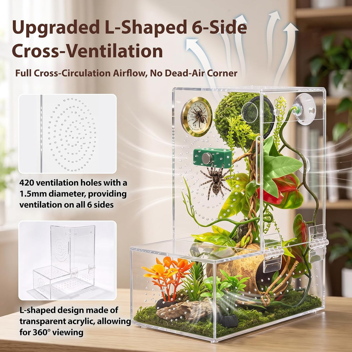 Large Jumping Spider Enclosure Kit for Spiders Manti Snail & Small Reptiles