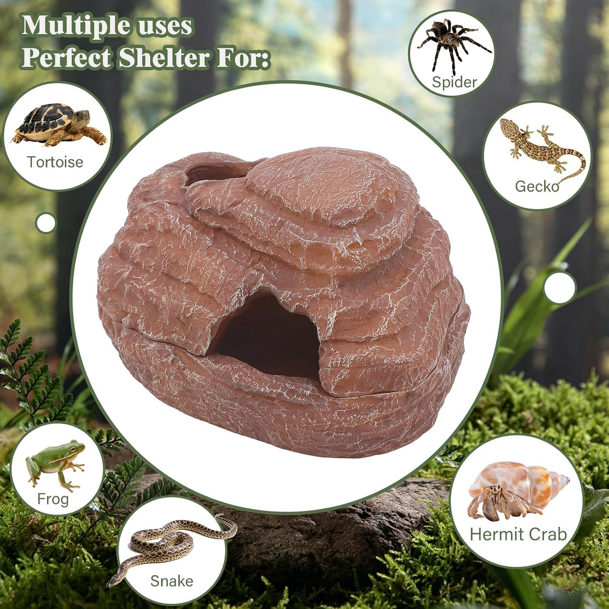 AQUA KT Reptile Hide and Cave Hideout for Snake Crested Gecko Ball Python