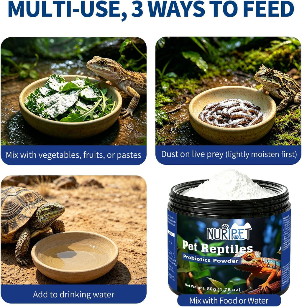 Reptile Probiotic 50g, Gut Support for Bearded Dragon & Tortoise