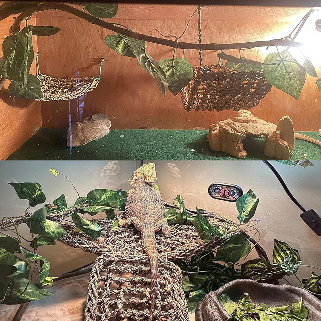 Woyrise Bearded Dragon Tank Accessories, Reptile Hammock Terrarium Decor