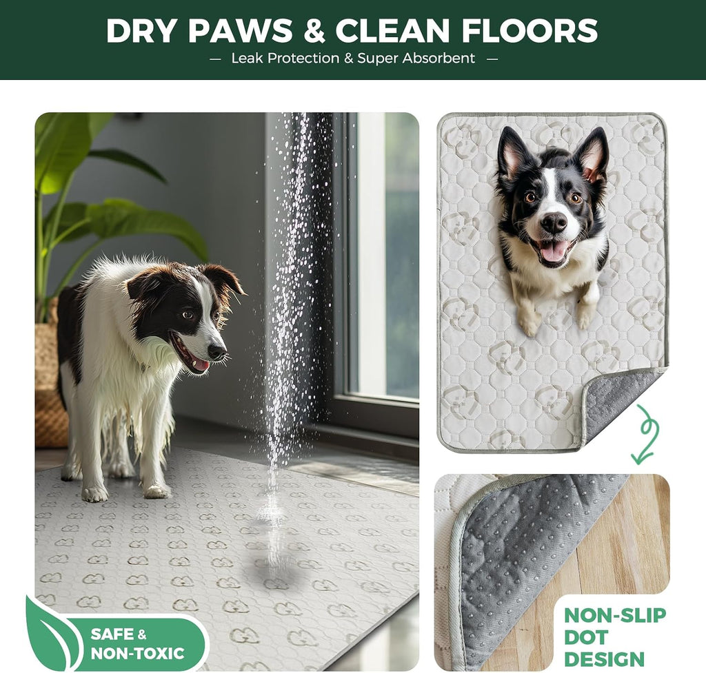 FXW Washable Pee Pads for Dogs, Super Absorbent, 39" Square, 2 Packs