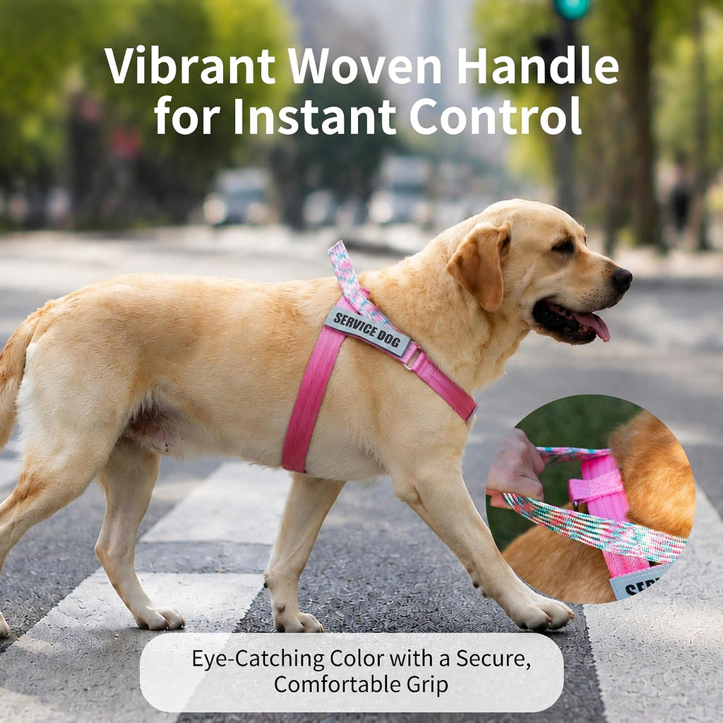 No Pull Dog Harness and Leash Set, Australian Dog Harness, Service Dog Harness with Handle and 4 Reflective Patches, Adjustable Training Vest for Small, Medium and Large Dogs (Pink,XS)