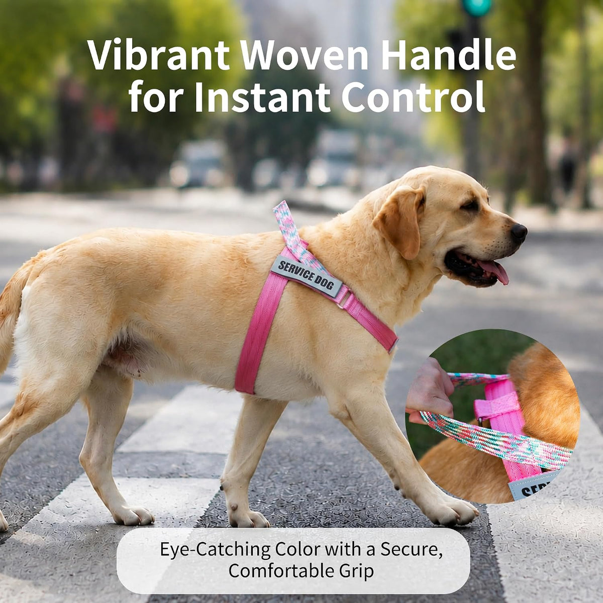 No Pull Dog Harness and Leash Set, Australian Dog Harness, Service Dog Harness with Handle and 4 Reflective Patches, Adjustable Training Vest for Small, Medium and Large Dogs (Pink,XS)