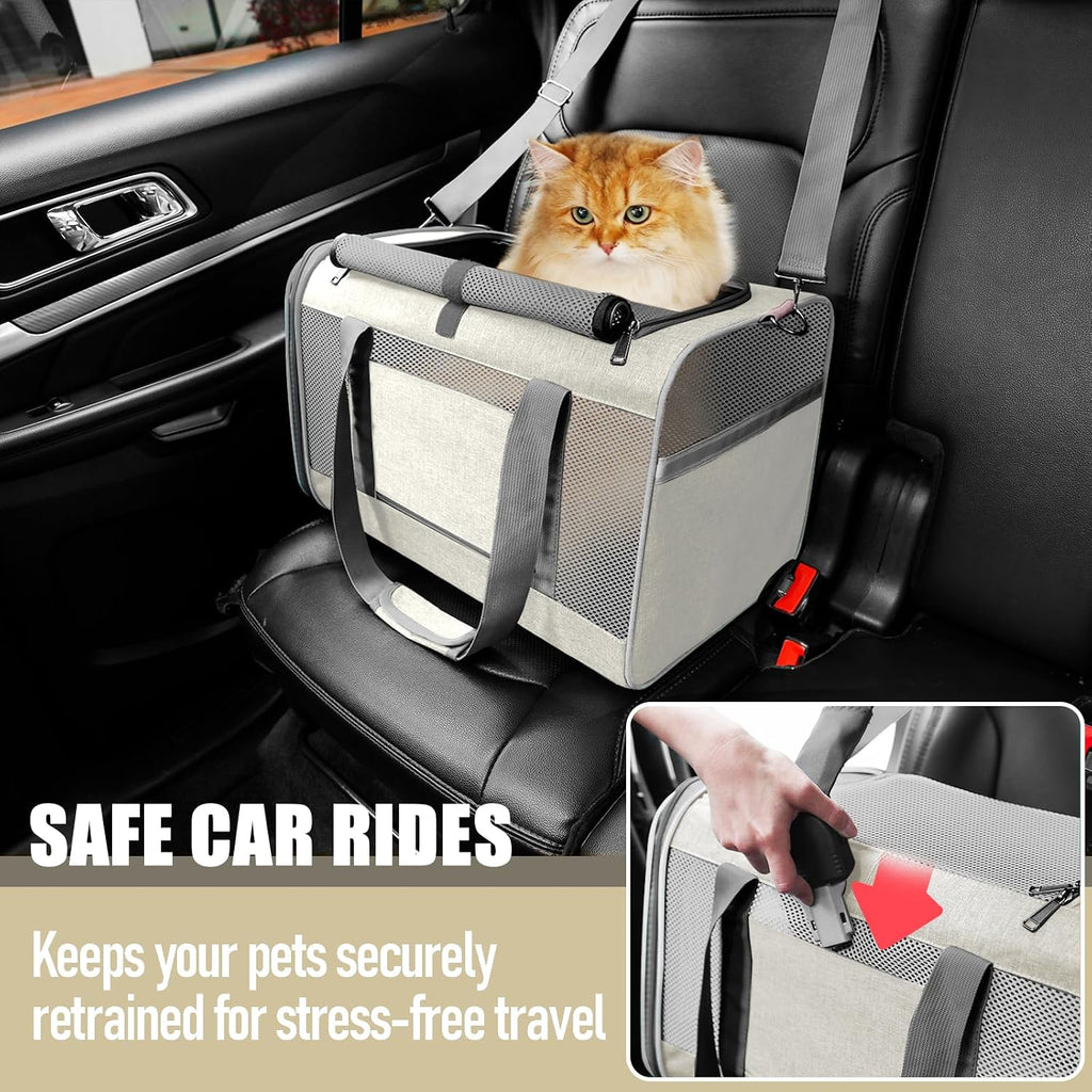 GAPZER Large Cat Carrier Soft, Collapsible Travel Pet Carry Bag, Small Dogs