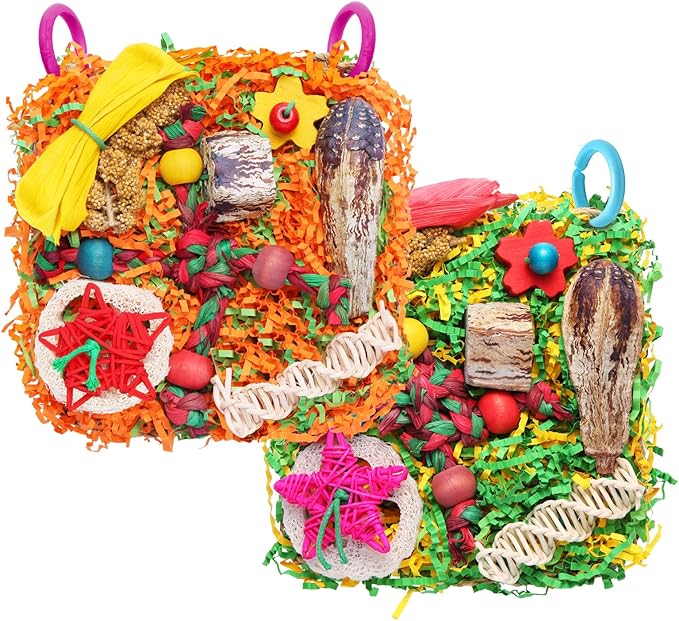 Bird Toys for Small & Medium Parrots by YIXUND
