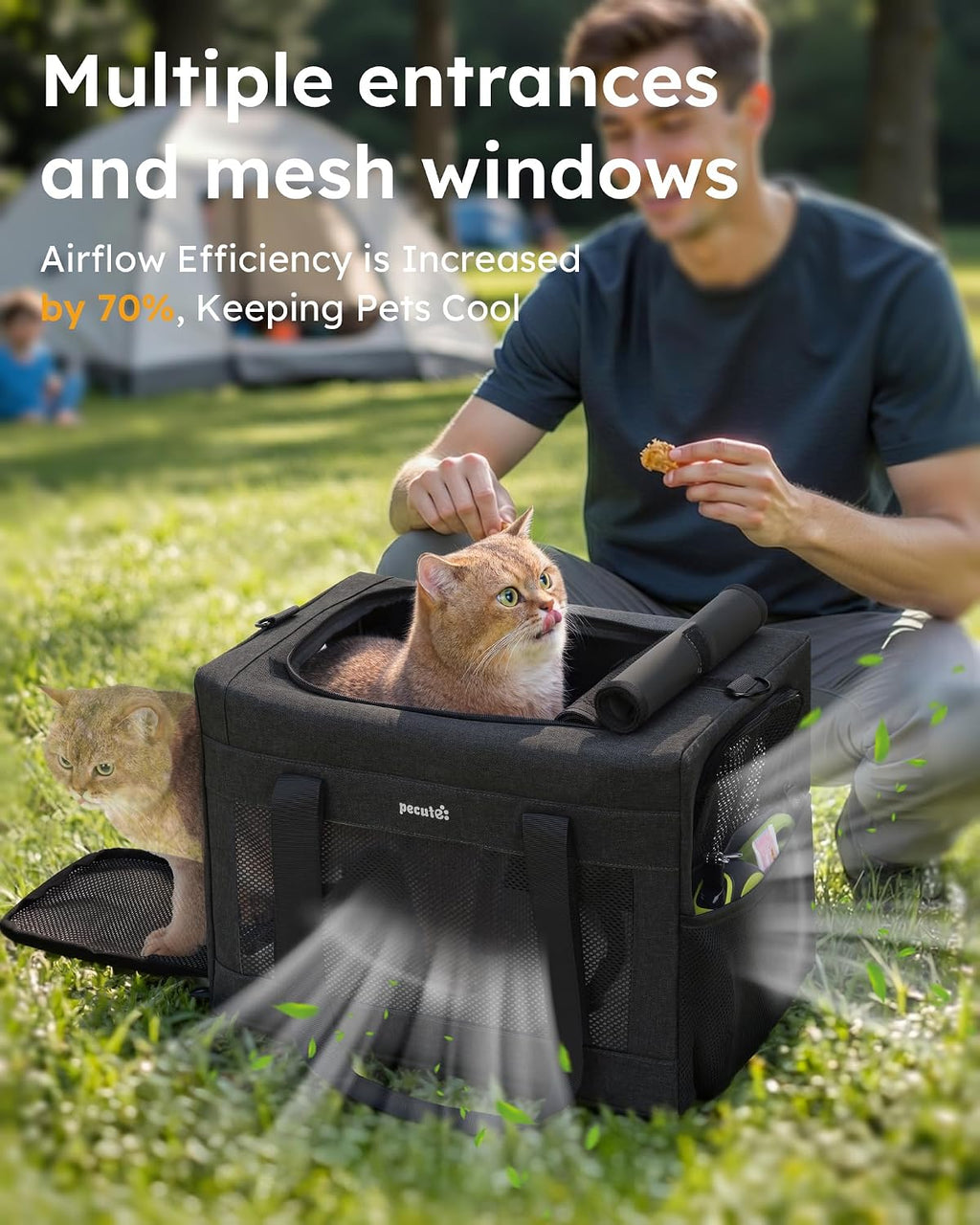 Pecute Cat Carrier, Portable Pet Carrier with Stable Structure, Dark Grey