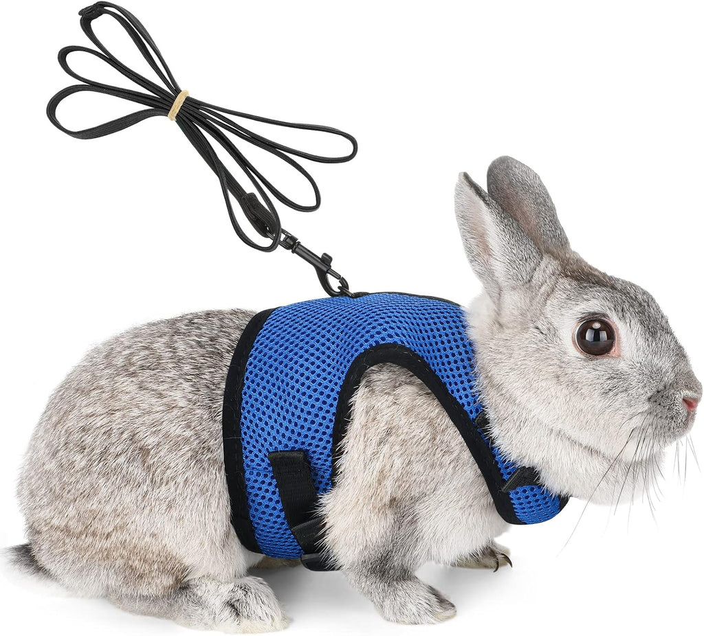 PETTOM Bunny Rabbit Harness with Stretchy Leash Cute Adjustable Buckle Breathable Mesh Vest for Kitten Small Pets Walking (Blue,XS)