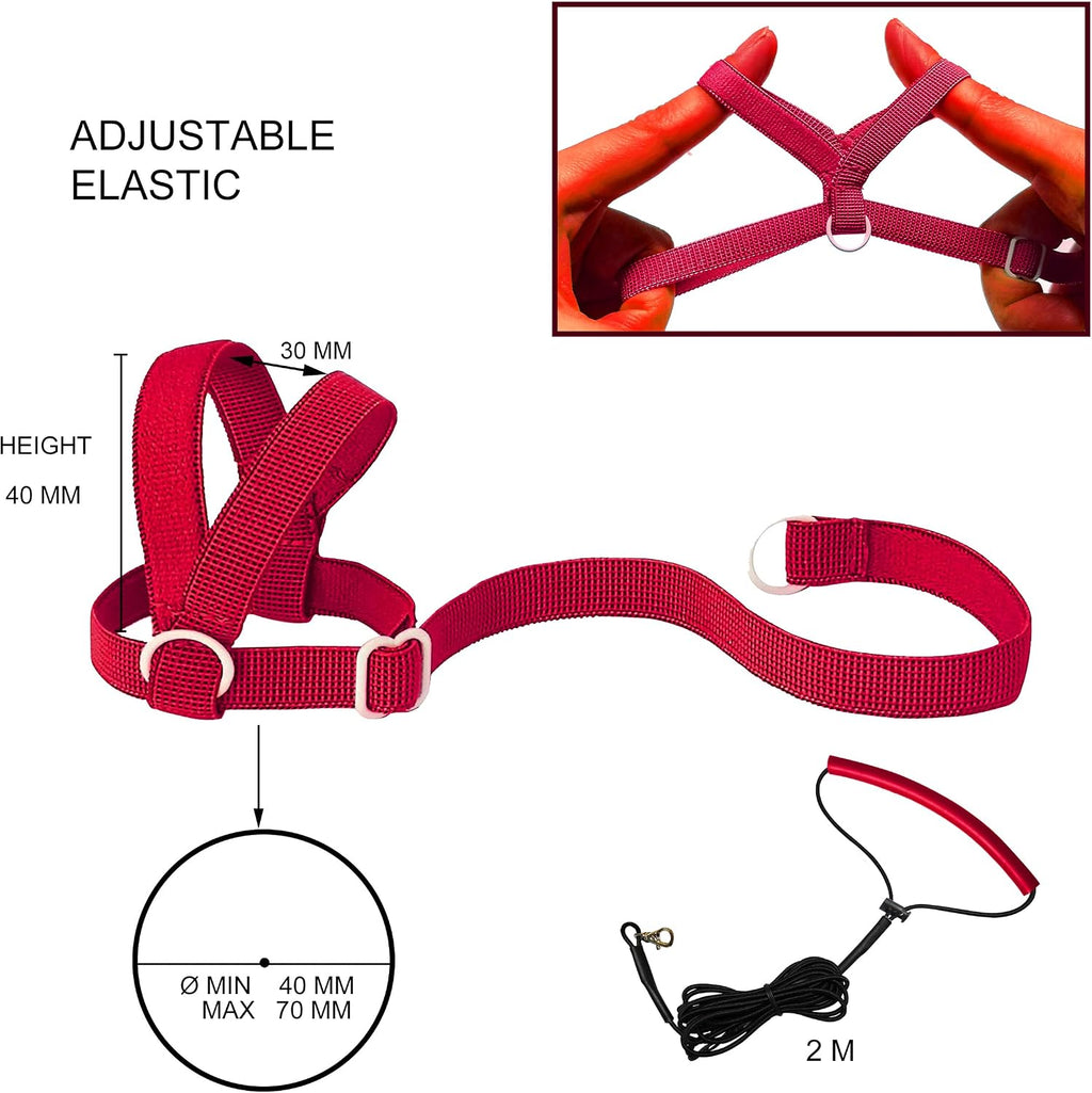 VANFAVORI Adjustable Bird Harness with 80-inch Leash, S Size, 2 Pack
