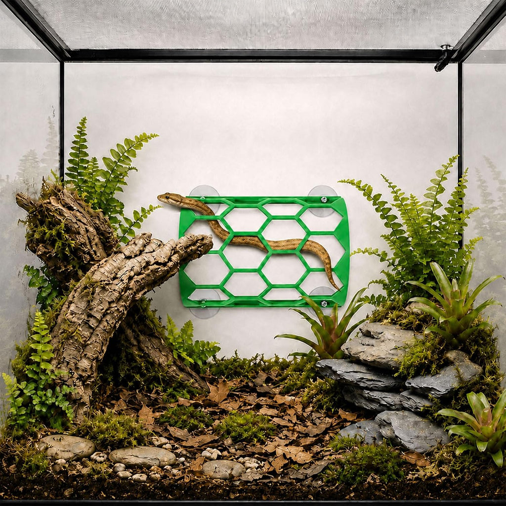 Reptile Climbing Shelf, Suction Cup Honeycomb Platform Snake Tank(Green)