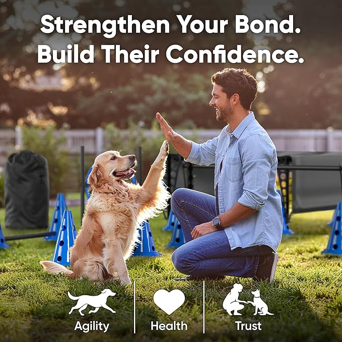 Dog Agility Course Backyard Set Complete Dog Agility Equipment - Image 5