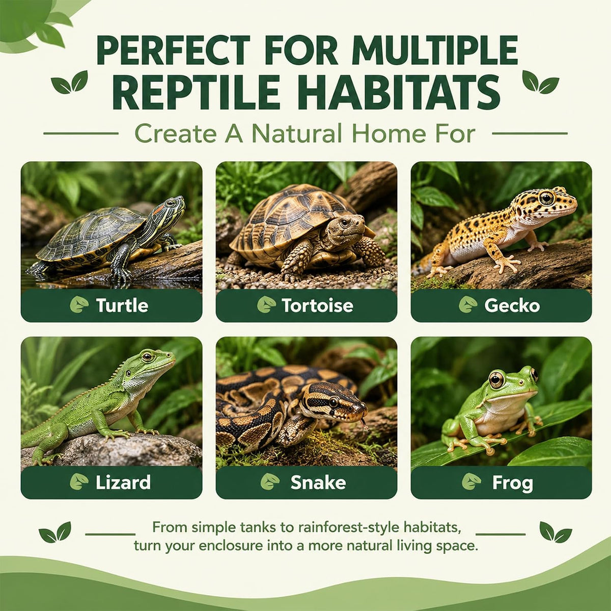 5 Pcs Reptile Hide, Bearded Dragon Cave, Tortoise Hideout Decor