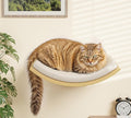 Wood Cat Wall Shelf with Soft Foam Cushion, Curved Cats Wall Bed by PELUOMOZ