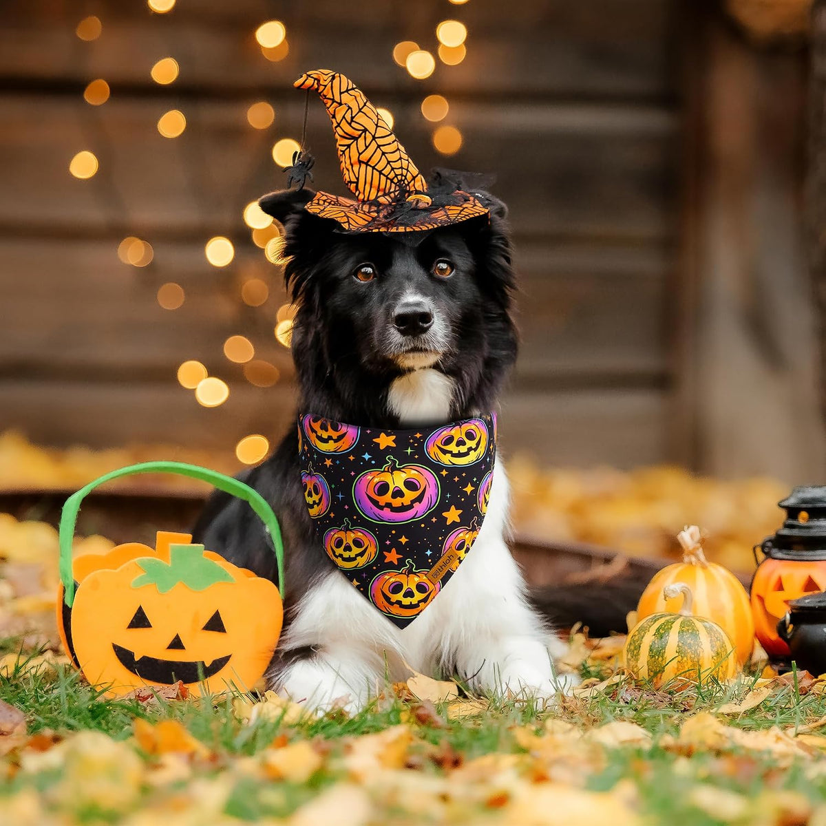 Halloween Dog Bandanas - 2 Pack Reversible Pumpkin and Bat Pet Scarf for Boys and Girls | Fall Dog Bibs | Premium Durable Fabric | Holiday Dog Bandana for Medium and Large Dogs (Large)
