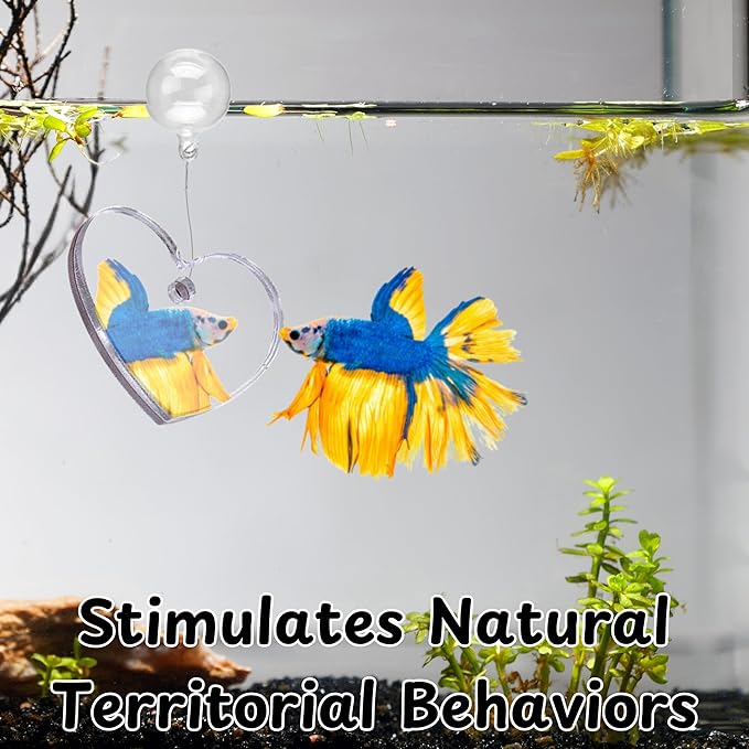 Betta Ring and Mirror Toy for Aquarium, Floating Exercise Mirrors for Fish Tank - Image 6